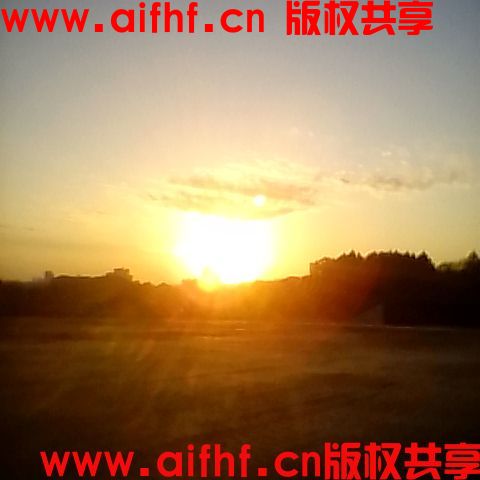 1-230F215510UW.jpg