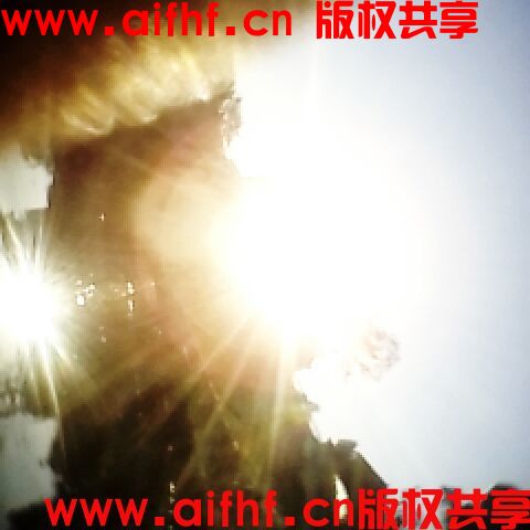 1-230F215510K20.jpg